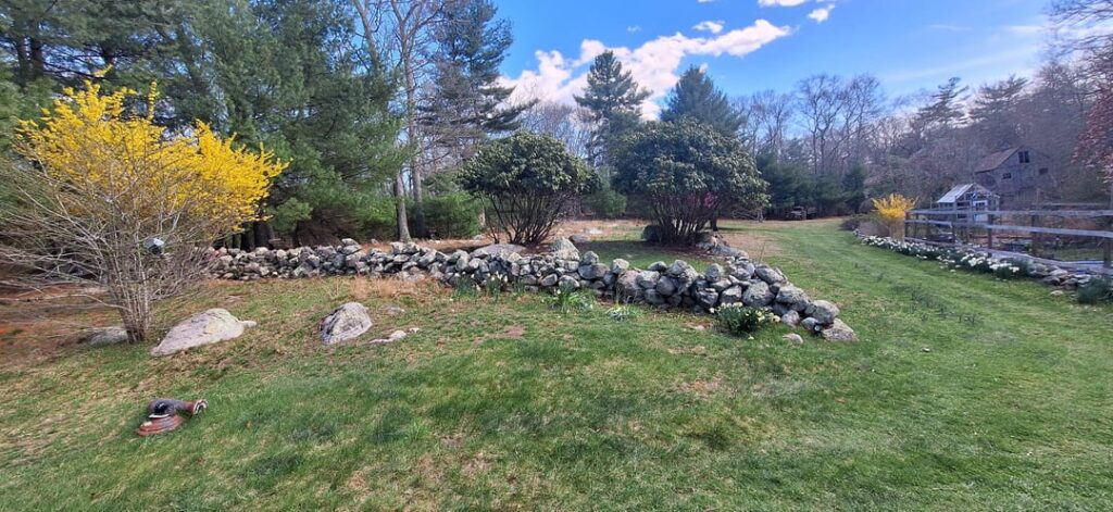 Trying to turn this large section into a sort of wildlife sanctuary