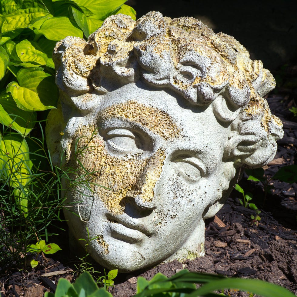 Closeup of decaying replica Roman modelled statue closeup of decaying replica roman modelled statue head in garden