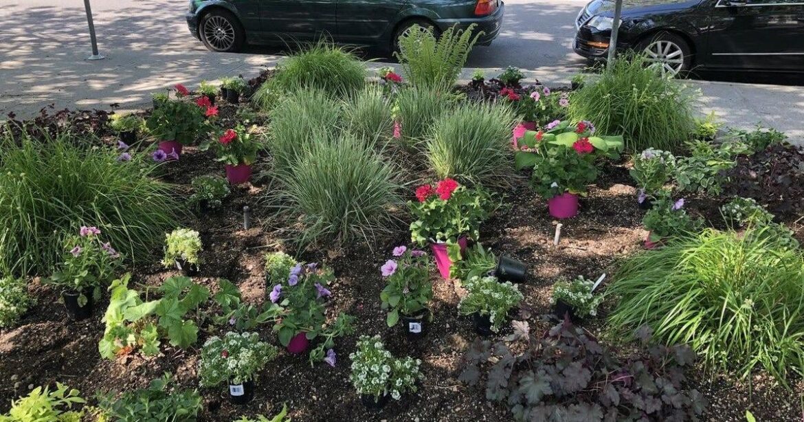 Master gardening while helping your community with WSU Master Gardeners | Spokane News Master gardening while helping your community with WSU Master Gardeners | Spokane News