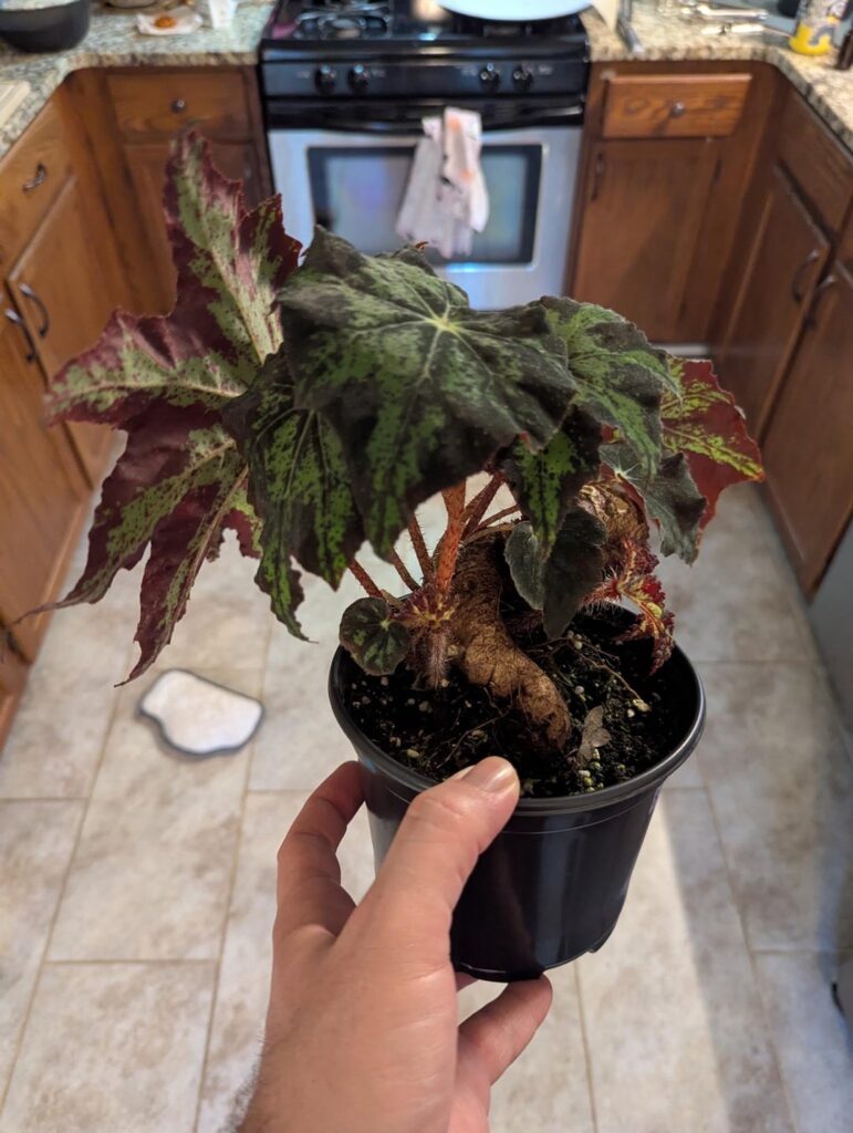 Need help ID’ing this one