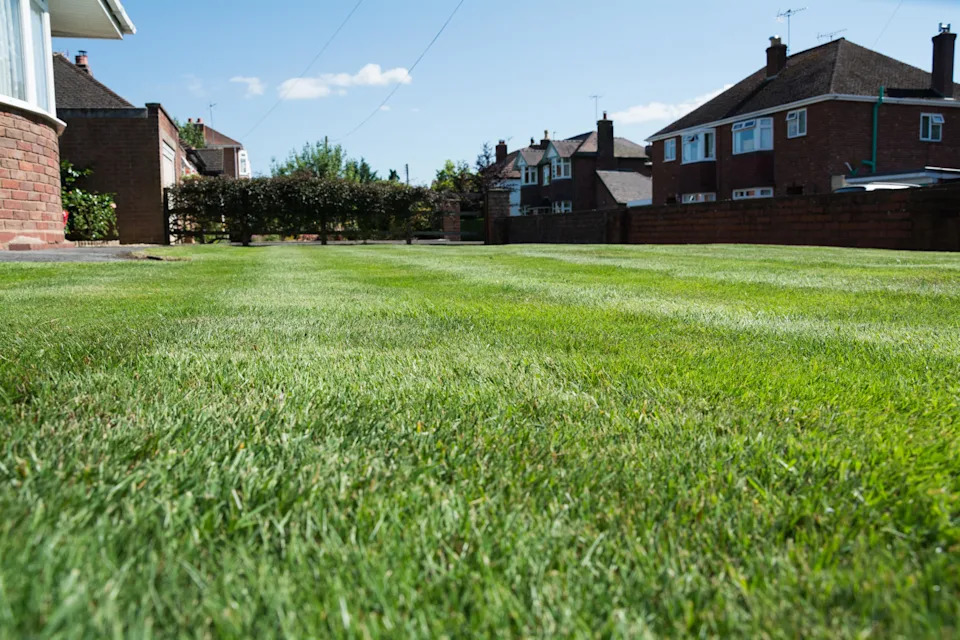 A freshly mowed lawn (Alamy/PA)