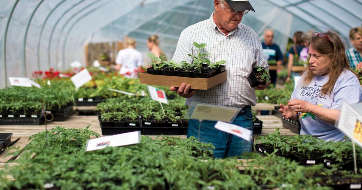 Barany in the garden: Don’t miss these three Yakima plant sales happening in May | Home And Garden Barany in the garden: Don’t miss these three Yakima plant sales happening in May | Home And Garden