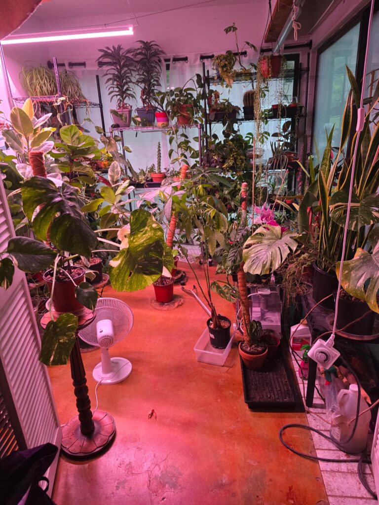 Plant room