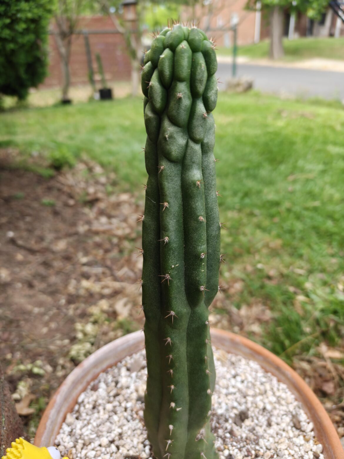 Is this sunburn?