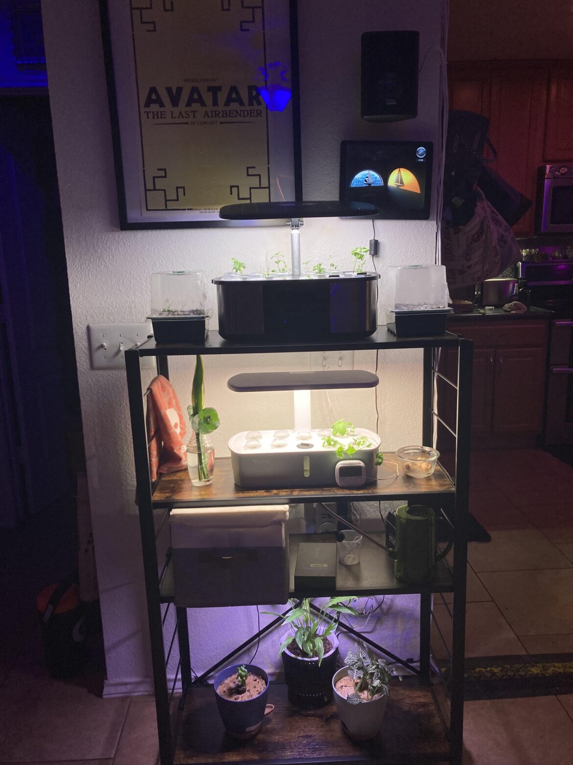 Small but mighty setup