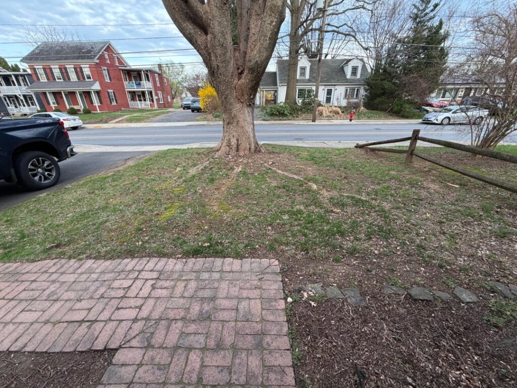Any ideas for what to do with this front yard? Any ideas for what to do with this front yard?