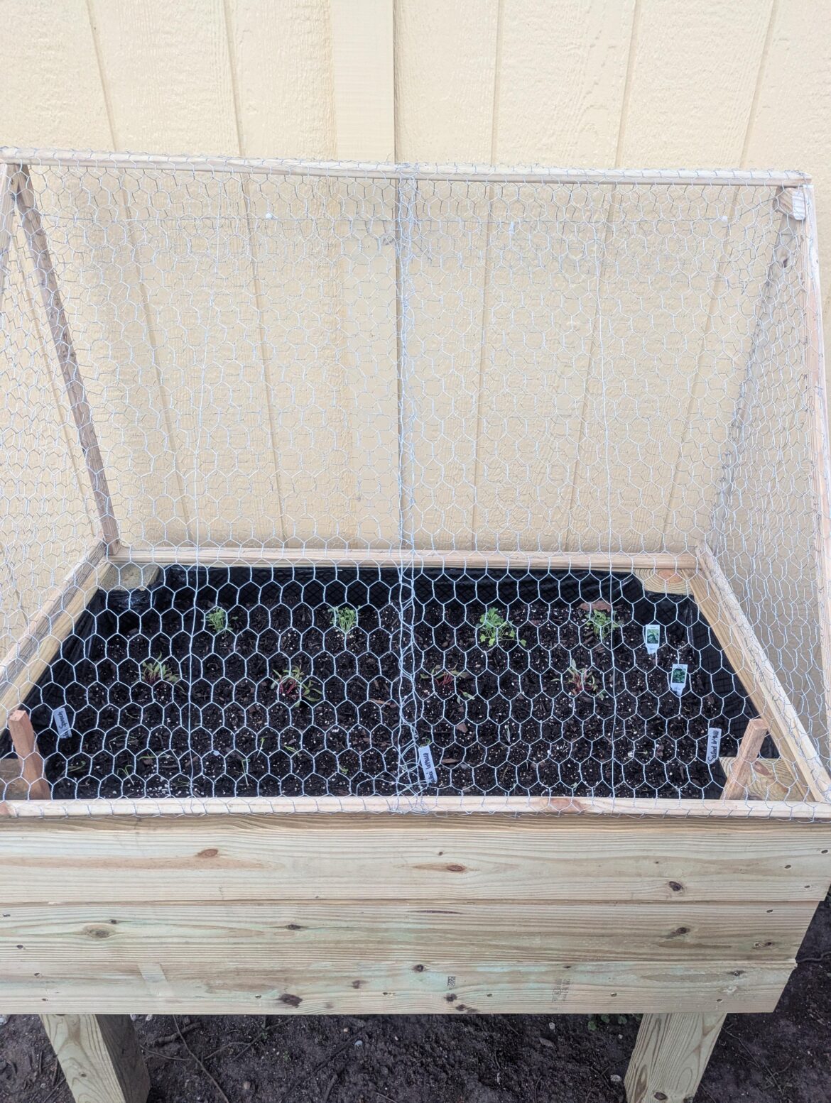 Designed and built a cloche for my greens bed! Designed and built a cloche for my greens bed!