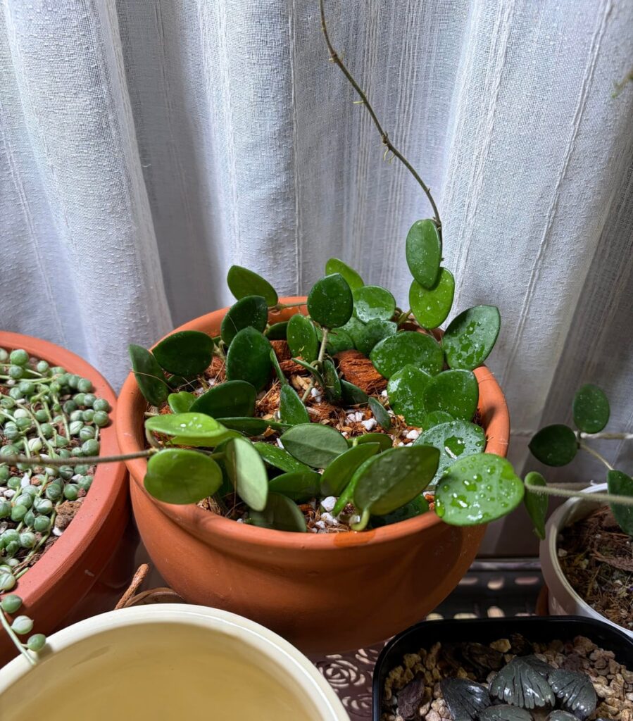 Do you think this is a good process?