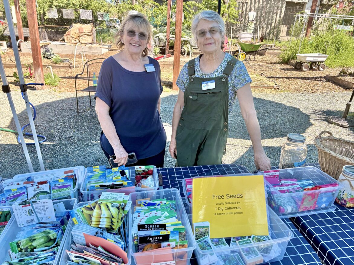 Master Gardeners’ garden: an oasis of earthy delights, education Master Gardeners’ garden: an oasis of earthy delights, education