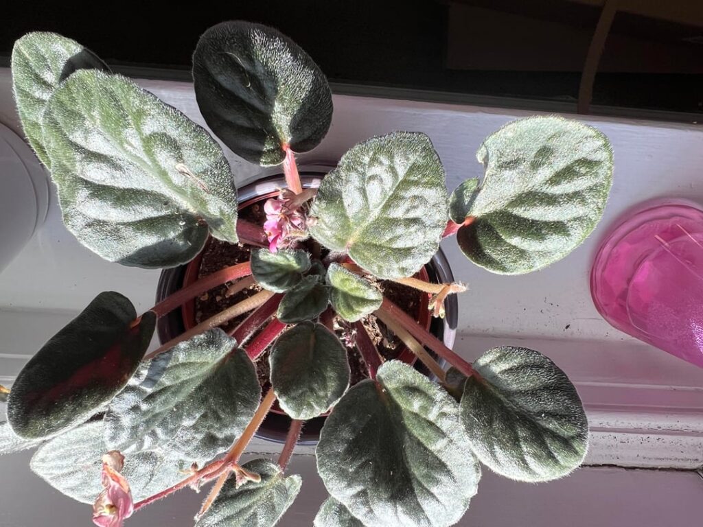 What am I doing wrong here?