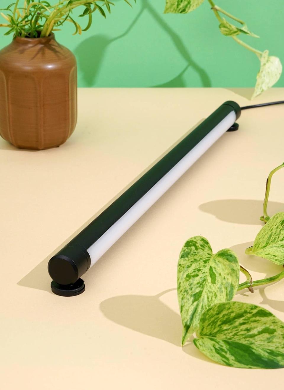 22 Gifts for Gardeners, From Someone Who Gardens
