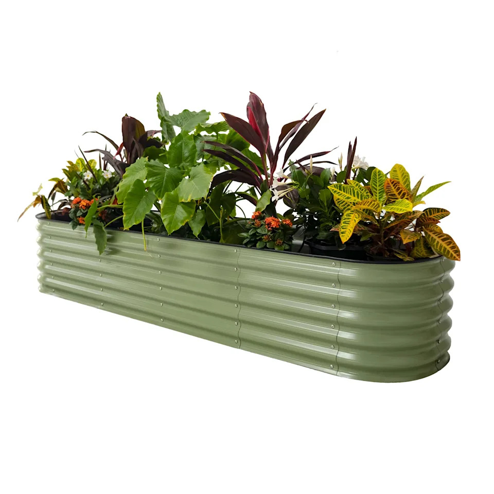 The "5-4-3-2-1 Method" Is Great for New Gardeners
