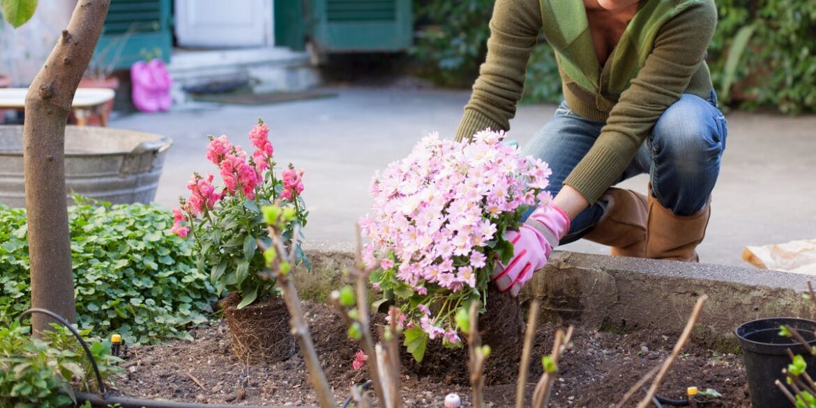 8 Beginner Mistakes to Avoid When Starting a Garden