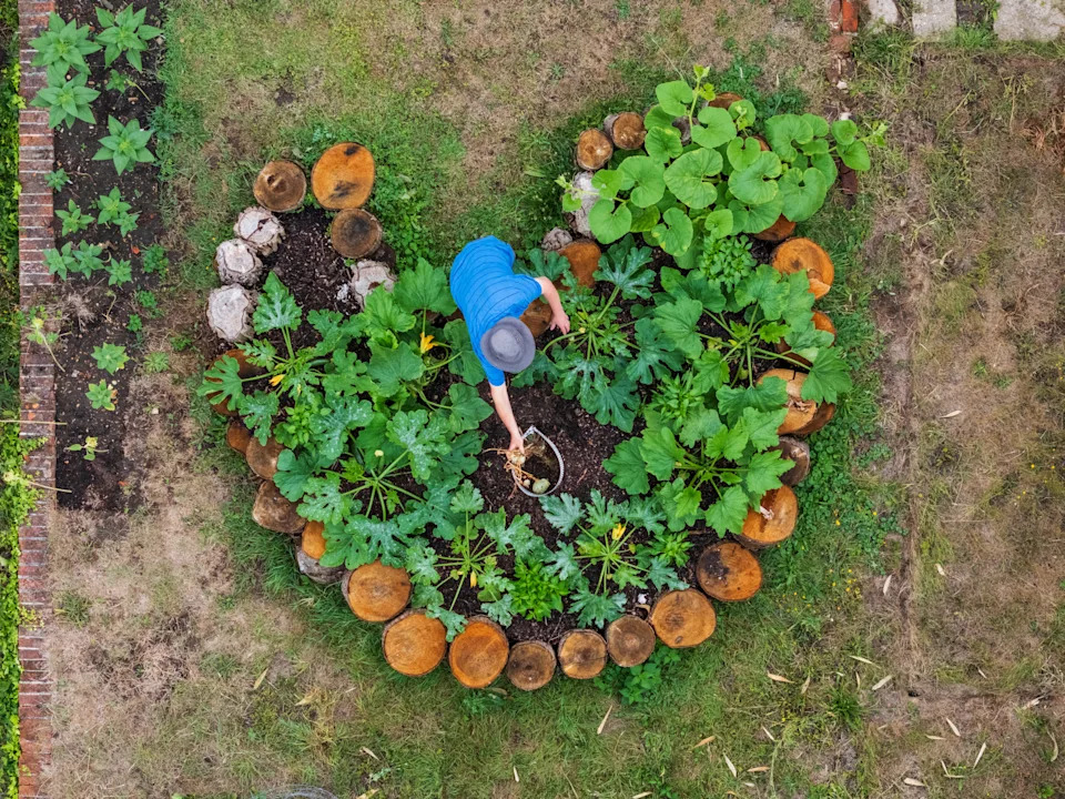 A circular raised bed with a compost pile in the centre (Jason Ingram/Dorling Kindersley/PA)