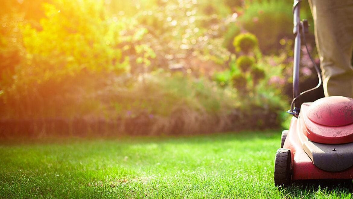You're mowing your lawn wrong. Here's the correct height to cut grass