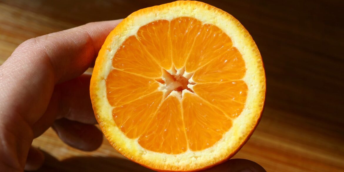 Gardeners Told To Place Common Fruit In Their Lawns Gardeners Told To Place Common Fruit In Their Lawns