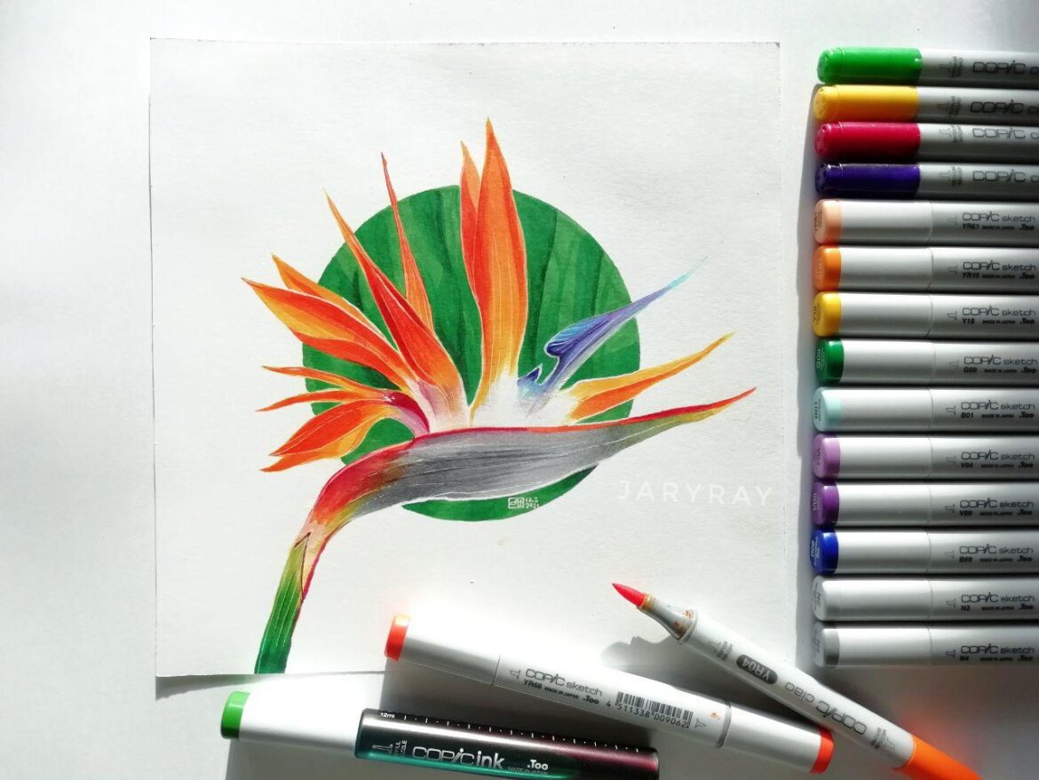 Strelitzia, drawing with markers