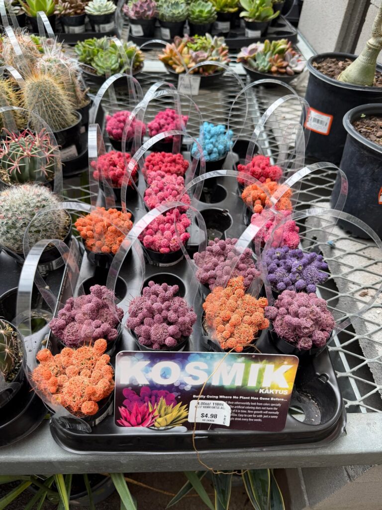 Why Home Depot? Why?!
