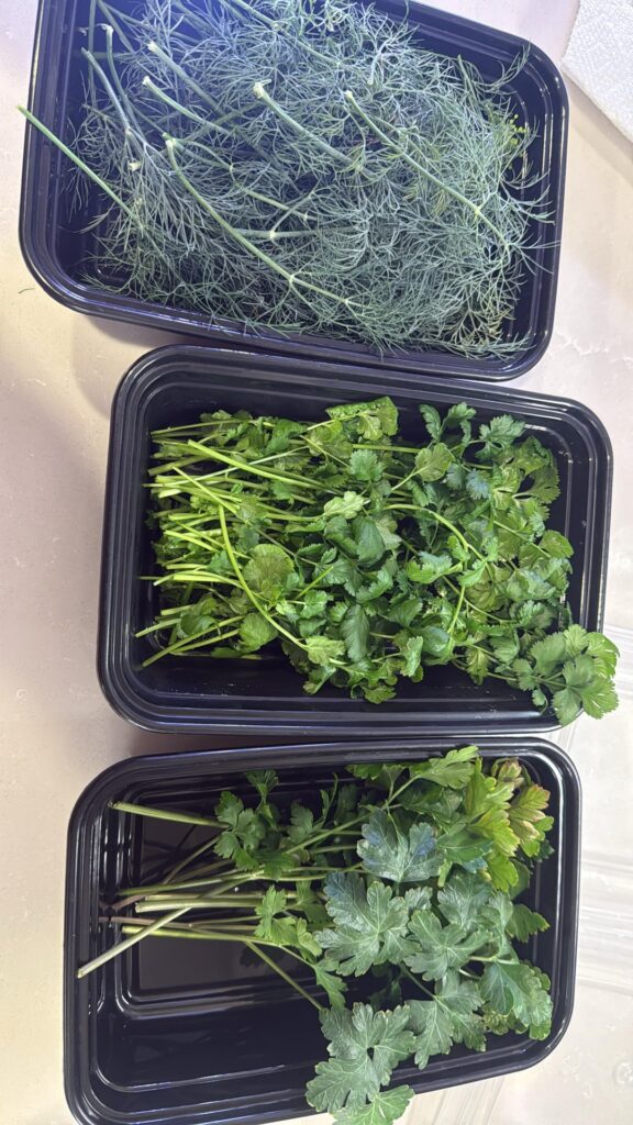 My first harvest!