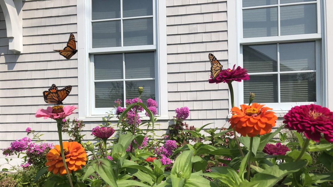 Bring Pollinators To Your Garden By Eliminating One Thing Bring Pollinators To Your Garden By Eliminating One Thing