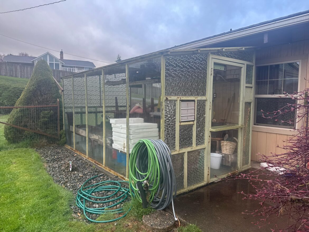 Is there a way to rehome this old greenhouse?