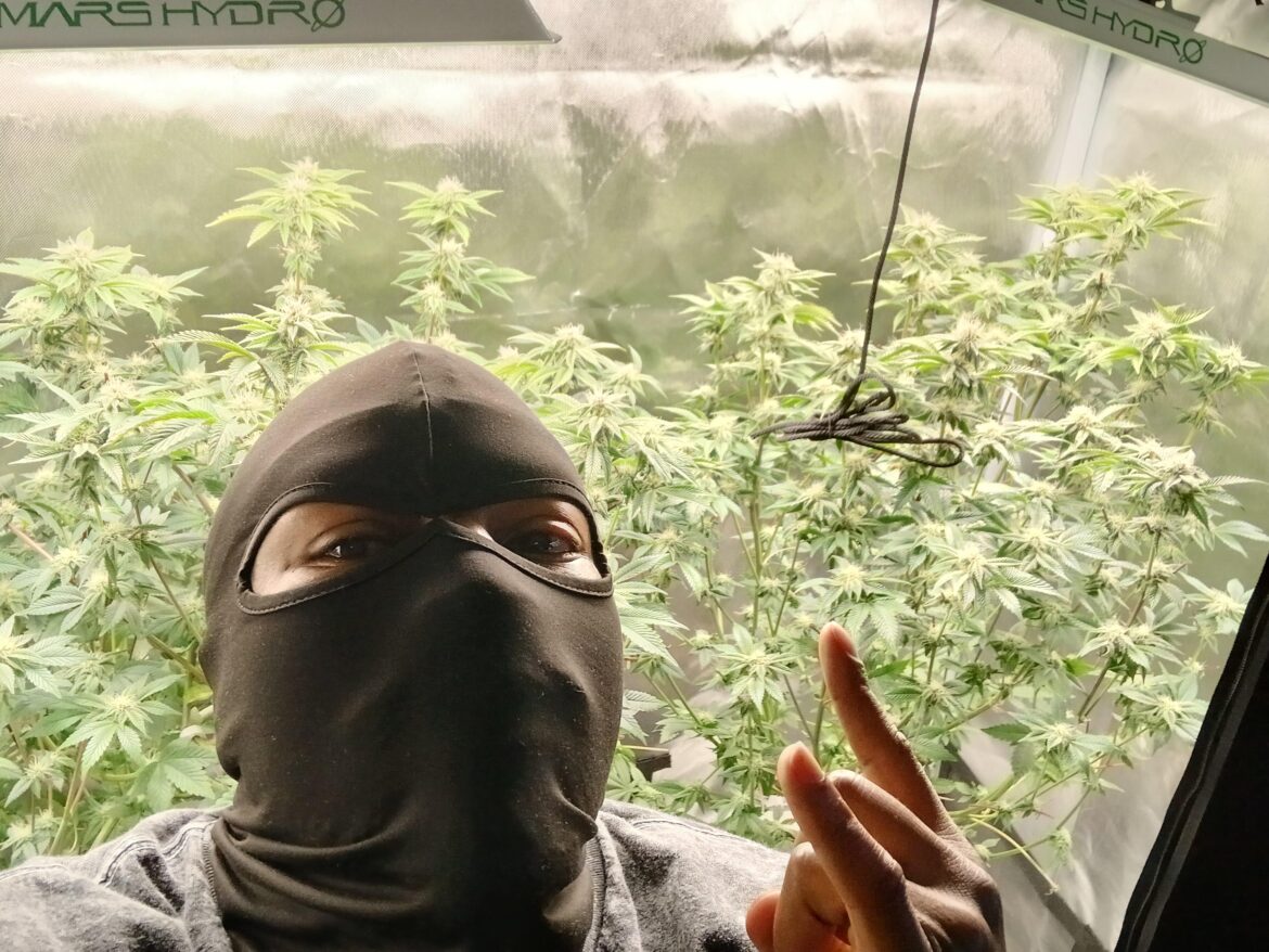 Happy 420