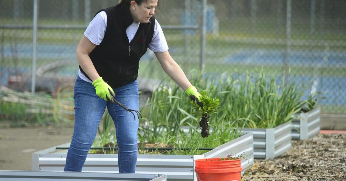 Master Gardener: Why native plants are beneficial | Lifestyles Master Gardener: Why native plants are beneficial | Lifestyles
