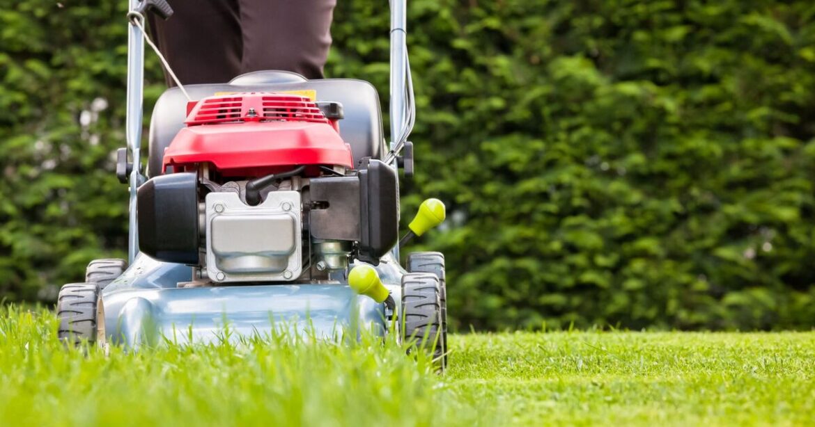 Gardeners urged to do 1 thing to get 'perfect green lawn' this spring