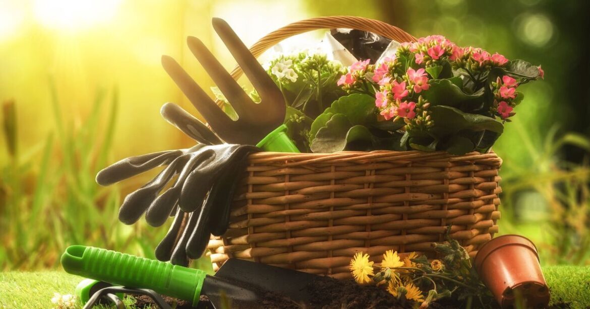 5 crucial jobs to complete in April for blooming summer garden