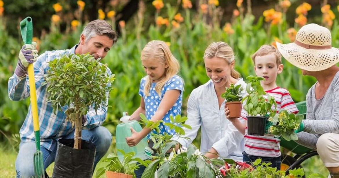 Starter garden seed box with 'excellent variety' makes 'lovely gift'