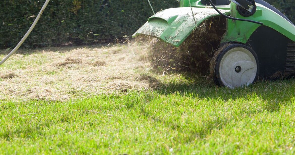 Brits warned lawn mistake could blow £750 hole in your pocket in April Brits warned lawn mistake could blow £750 hole in your pocket in April