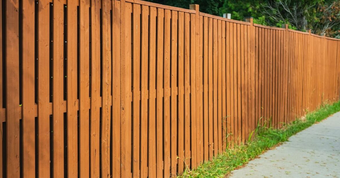 Anyone with a garden urged to do 1 thing to their fence now