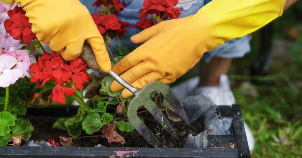 Alan Titchmarsh's 1 task gardeners must do before planting this spring