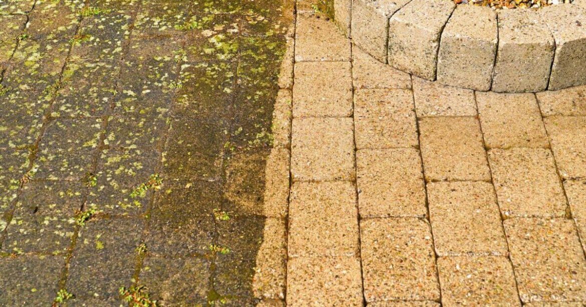 Moss and algae will stay off patios for good due to 1 item