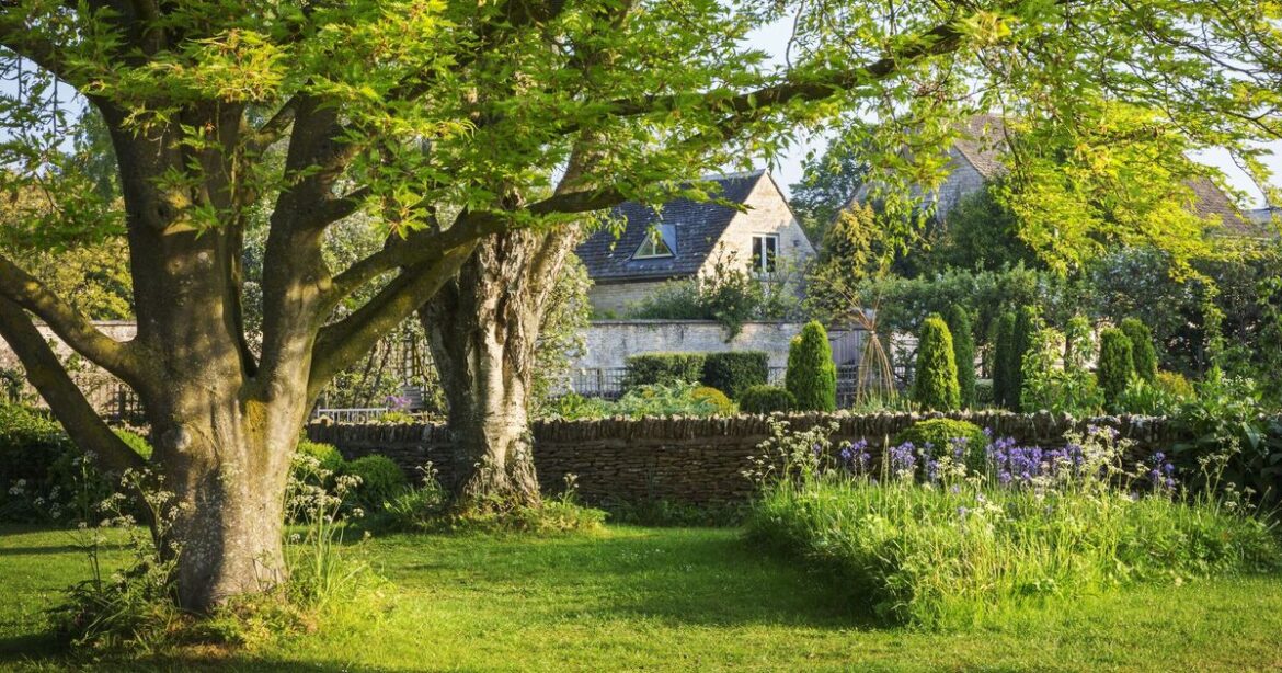 Lawns will turn ‘lush and green’ if you add one item Lawns will turn 'lush and green' if you add one item