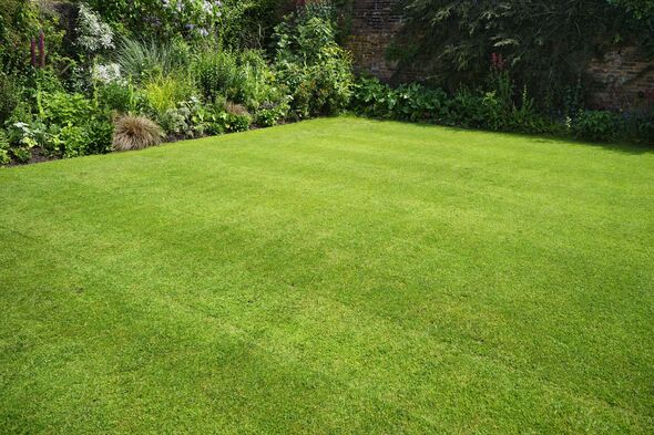 garden garden