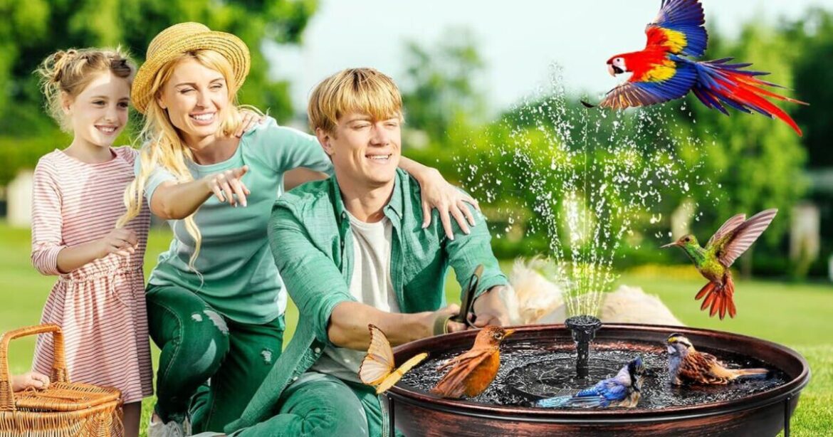 'Good quality' bird bath is 'easy to clean' and 'looks good'