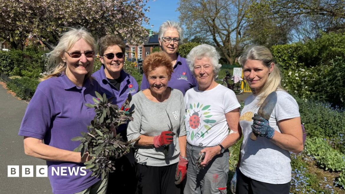 What does it take to make Congleton shine for Britain In Bloom? A group of six women, three of whom are wearing purple polo shirts and several of whom are holding plants or gardening implements. They are looking towards the camera and smiling for the photograph.