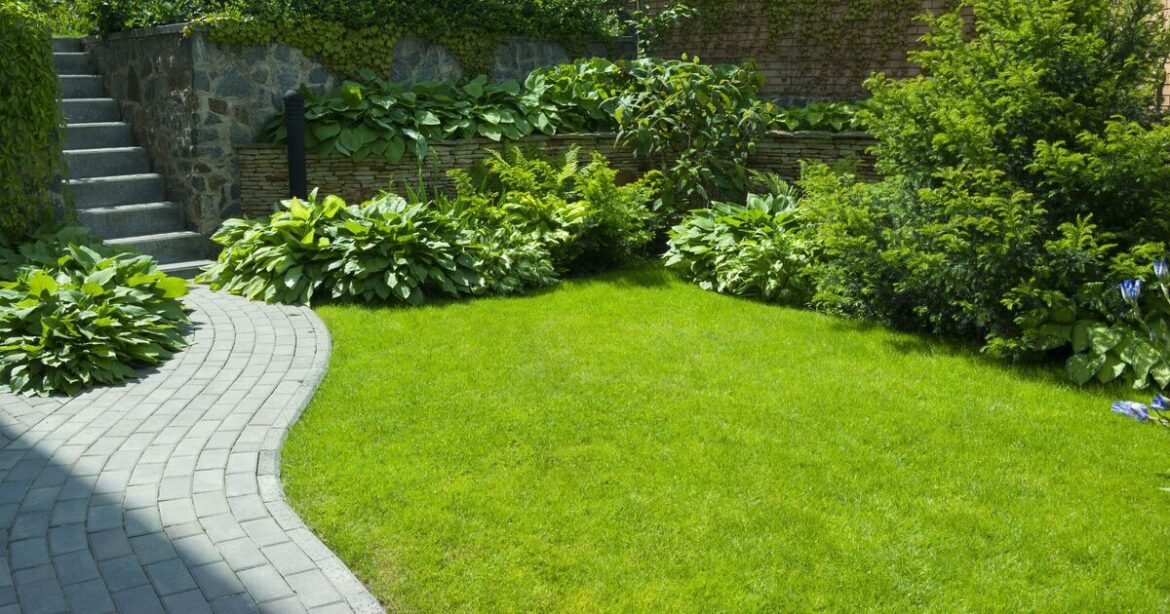 Lawns will stay green all summer in UK gardens if you do 1 vital task in April Lawns will stay green all summer in UK gardens if you do 1 vital task in April