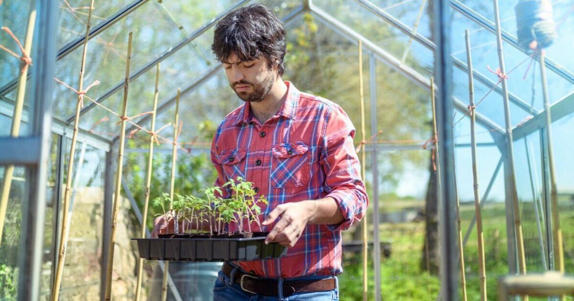 3 simple changes to save on your gardening costs this Spring | Personal Finance | Finance