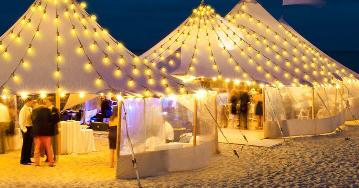 ‘Really bright’ outdoor garden lights ‘look stunning when lit up’ 'Really bright' outdoor garden lights 'look stunning when lit up'
