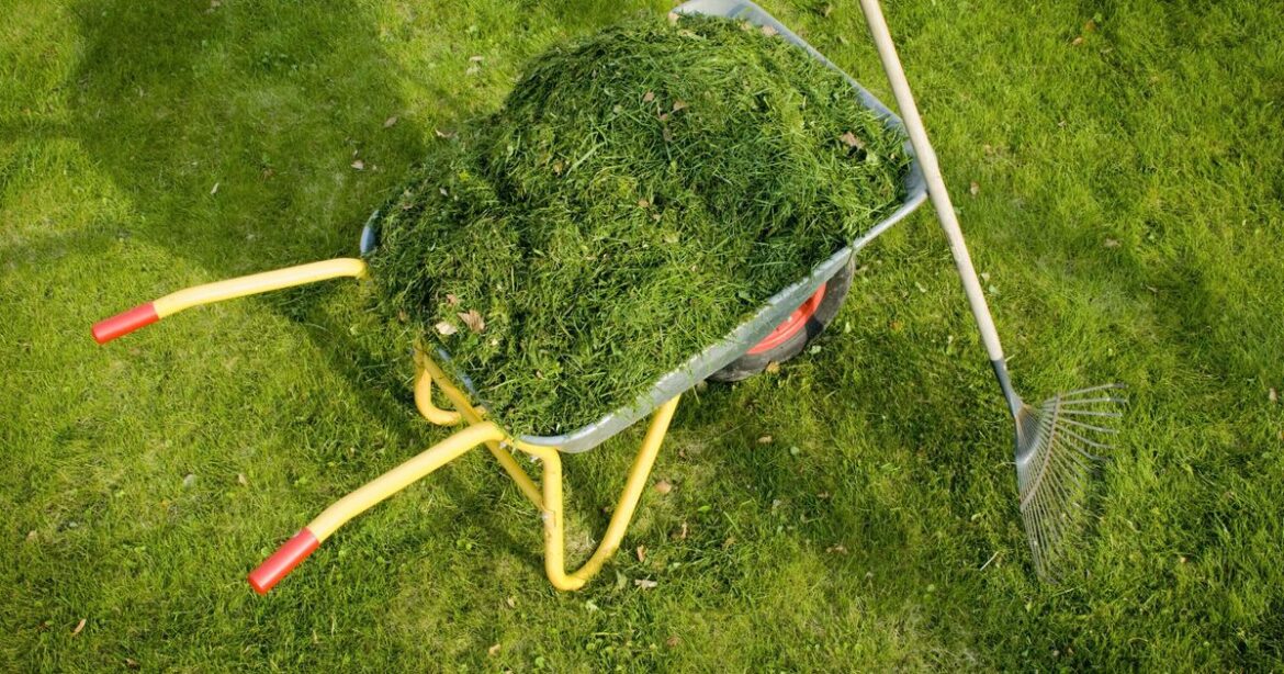 Gardeners urged to keep hold of grass clippings for 1 reason Gardeners urged to keep hold of grass clippings for 1 reason