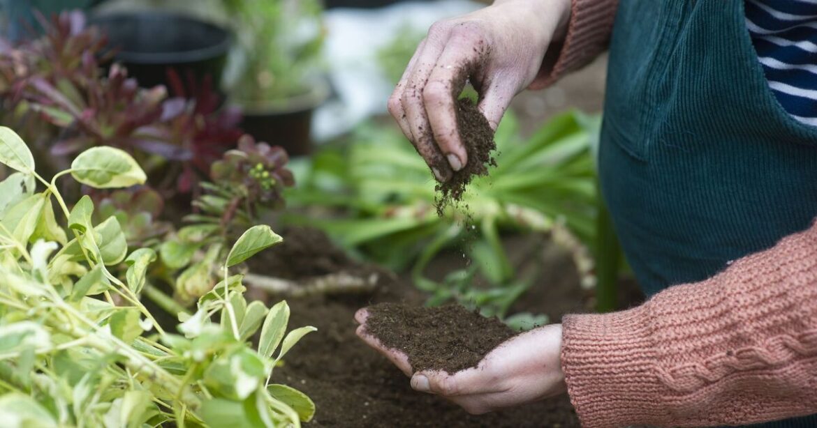Gardener shares ‘most important task’ everyone should do in April Gardener shares 'most important task' everyone should do in April