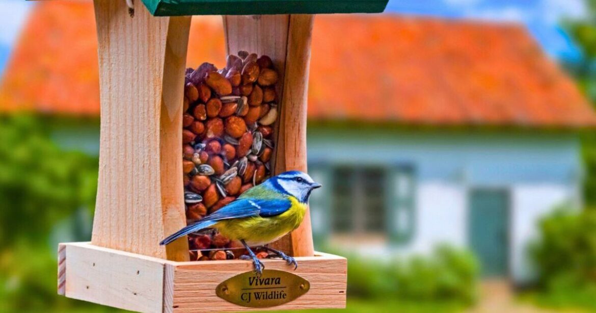 Anyone with a bird feeder should hang everyday item in garden before summer