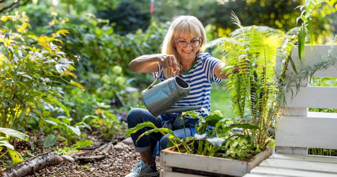 Gardeners told to avoid ‘killer’ popular plant despite its beautiful flowers Gardeners told to avoid 'killer' popular plant despite its beautiful flowers