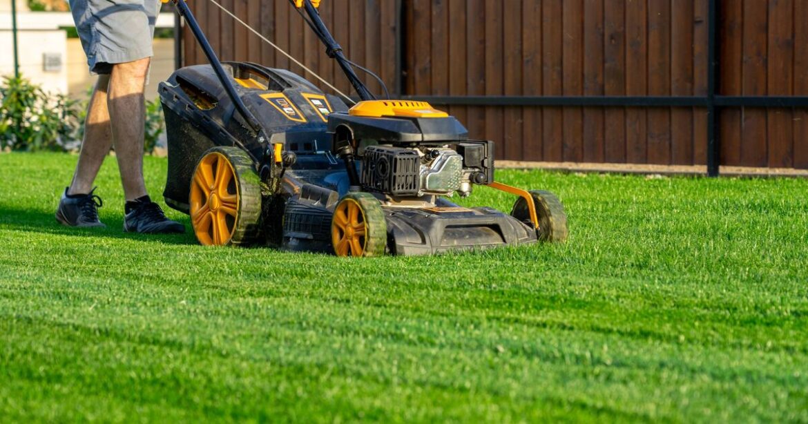How to get lush, green lawns in summer How to get lush, green lawns in summer