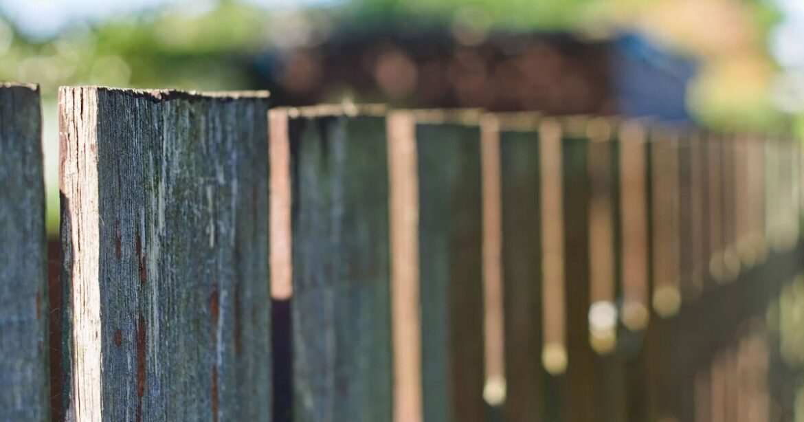 Paint your garden fence with £1 item that’s the ‘fastest’ method Paint your garden fence with £1 item that's the 'fastest' method