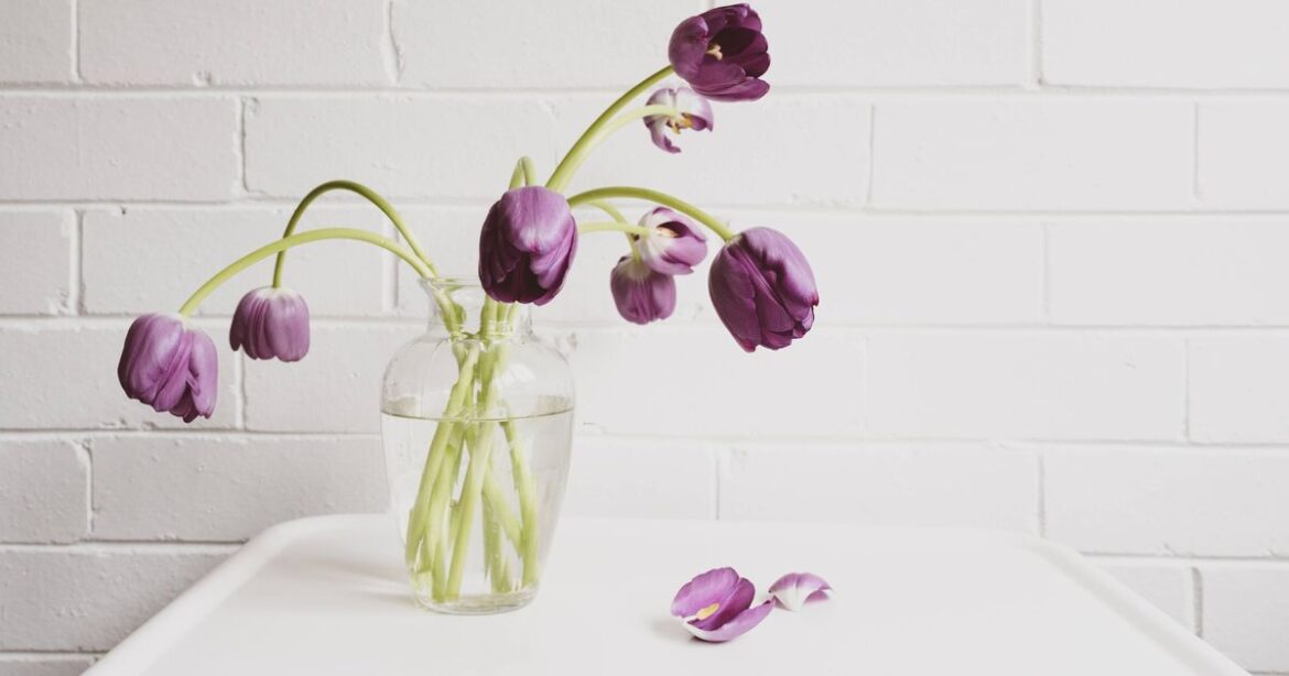 Floppy tulips in vases will perk up fast if you do simple 3-second task Floppy tulips in vases will perk up fast if you do simple 3-second task
