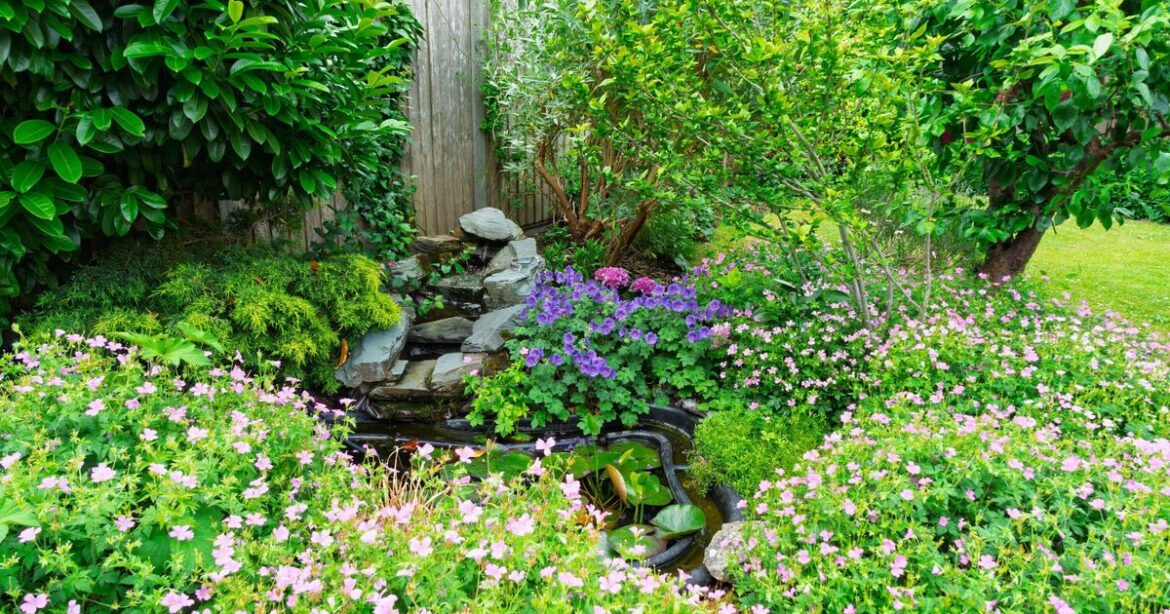 Expert says beautiful blooms in your garden depends on one thing Expert says beautiful blooms in your garden depends on one thing