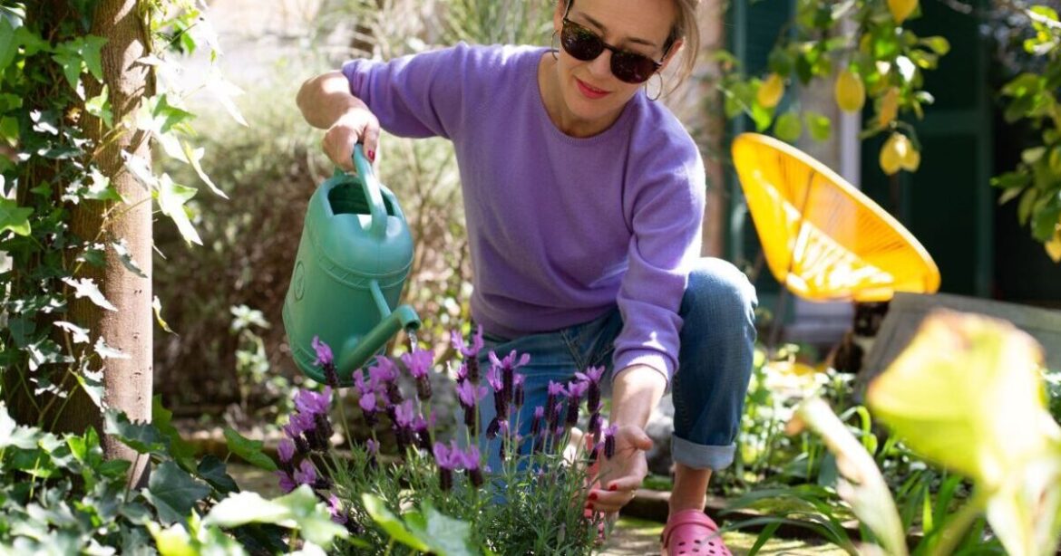The ‘essential’ gardening job you must do this April – or risk weed growth The ‘essential’ gardening job you must do this April - or risk weed growth